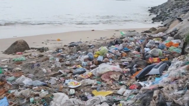 Volunteers keeping Gulf Coast beautiful on World Oceans Day
