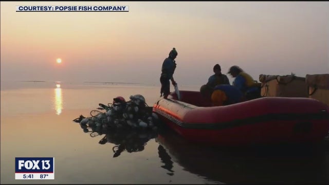 Tampa Bay man's family fishing trips are more than a day on the boat