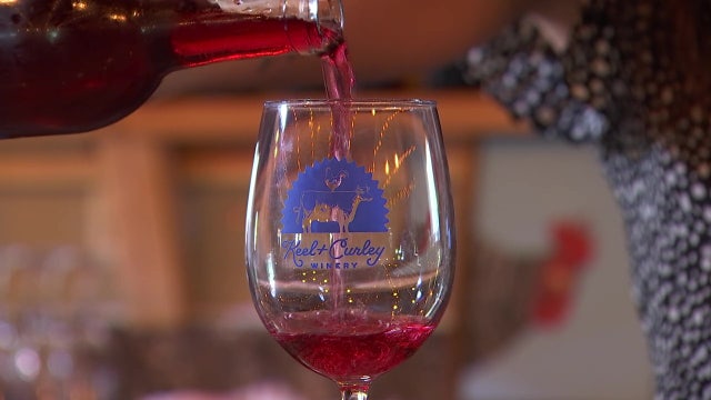 Tour this Plant City winery to see how blueberry wine is made