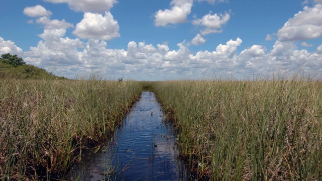 Florida Senate removes 'worst of the worst' from waterways bill