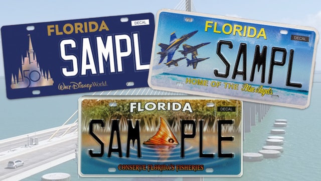 Florida fisheries license plate gets go-ahead; Disney World and Blue Angels coming soon