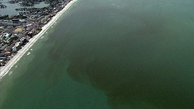 What is Florida's red tide, and where does it come from?