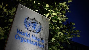 COVID-19 cases, deaths are rising again globally, WHO reports