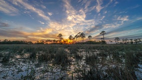 Florida leaders, conservationists acknowledge ‘Florida Wildlife Corridor Act’ to protect natural areas