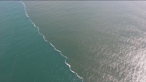 FWC, DEP set up office in St. Petersburg to monitor red tide
