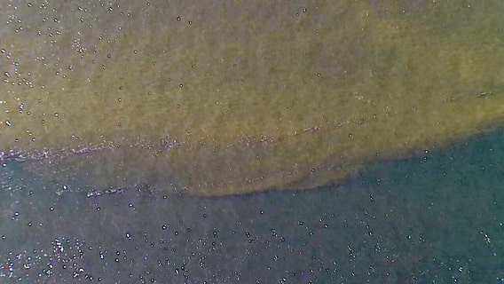 How FWC is monitoring red tide and fish kills from the sky