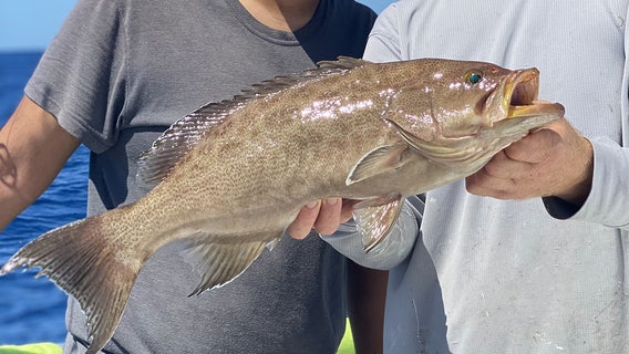 Fishing Report: July 23, 2021