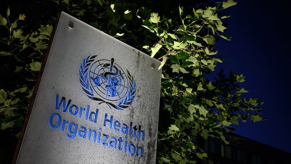 COVID-19 cases, deaths are rising again globally, WHO reports