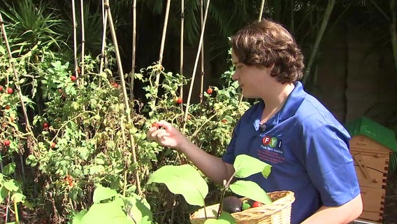 Jesuit student turns class project into $10,000 fundraiser to help El Salvador community farm year-round