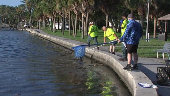 Coffee Pot Park shows signs of improvement after crews, volunteers spend days cleaning up dead fish