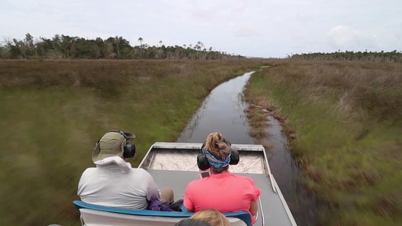 Airboat tours offer unique way to see Florida's natural beauty