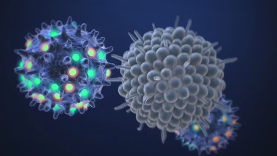 Florida nearing pivotal 85% mark in COVID-19 immunity