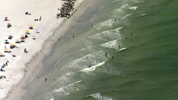 Red tide predicted to worsen on Pinellas County beaches this weekend