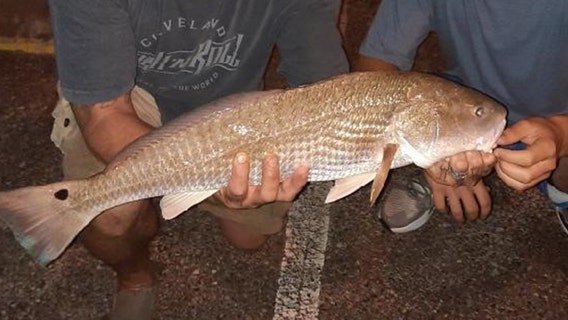 Fishing Report: July 16, 2021