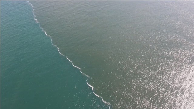 FWC, DEP set up office in St. Petersburg to monitor red tide