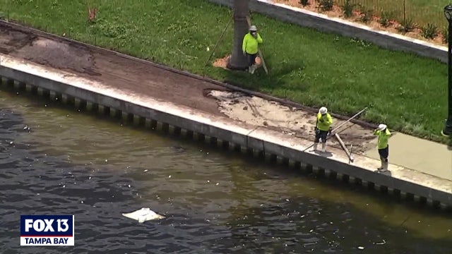 As cleanup continues, more species fall victim to red tide bloom