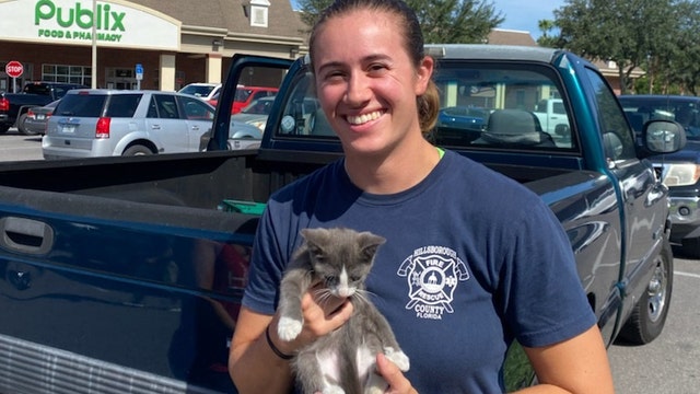 Hillsborough firefighters rescue kitten trapped in pickup truck