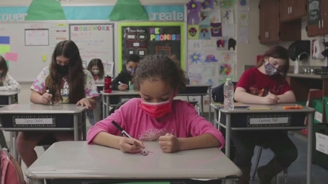 With school starting this week, Pinellas and Manatee leaders decide against mask mandates