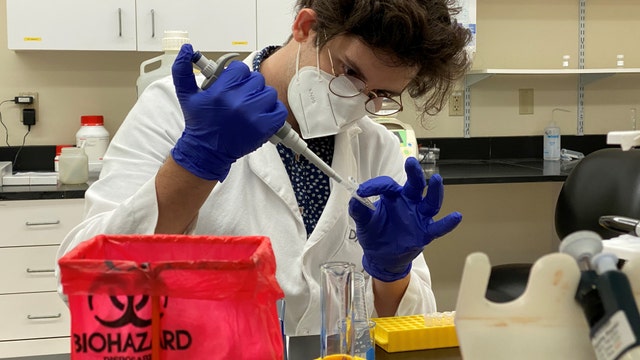 Researchers studying possible link between red tide and neurological issues