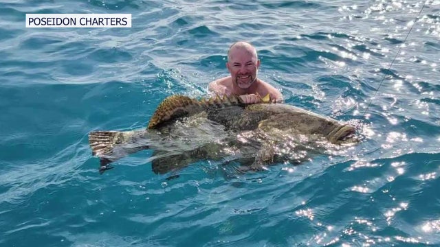 Charter boat captains struggle to stay afloat amid red tide, fish kills