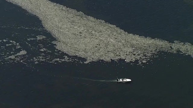 ‘It’s a ghost town out there’: Out-of-work anglers plead for governor to declare state of emergency