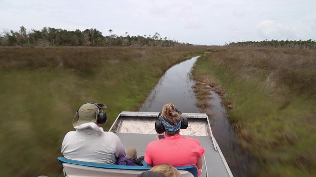 Airboat tours offer unique way to see Florida's natural beauty