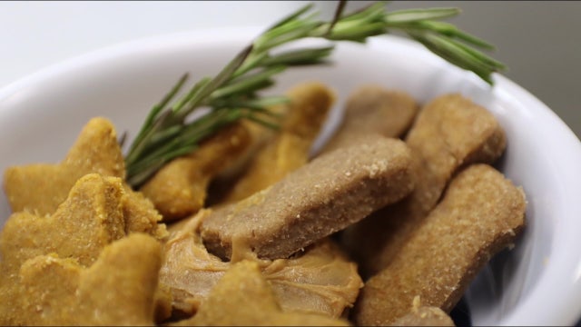 Pawcuterie Shop in Tampa makes preservative-free treats for pets
