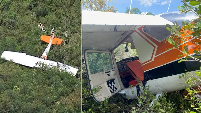 Small plane crashes in Brooksville wildlife management area