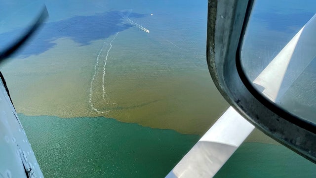 Red tide could worsen as algae feeds on nutrients released by decaying fish, scientists say