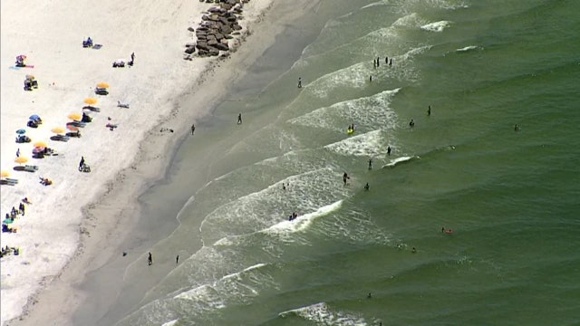 Red tide predicted to worsen on Pinellas County beaches this weekend