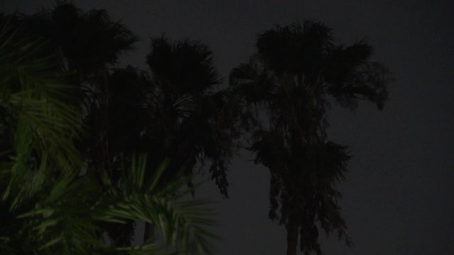 Thousands without power as Elsa brings gusting winds, heavy rain overnight