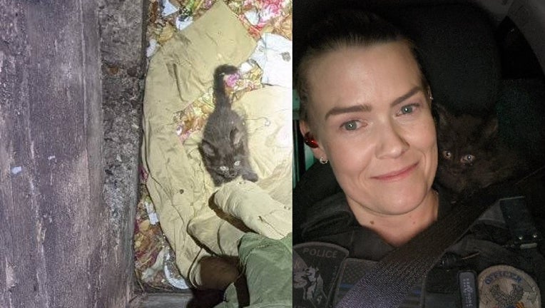 Mesa Police K-9 Officer Kennedy rescues a black kitten from a storm drain. Photos courtesy of the Mesa Police Department