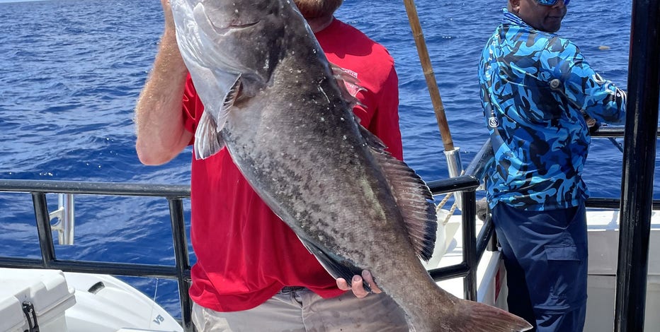 May Offshore Fishing Report, Read About Our Latest Nearshore & Offshore  Expeditions