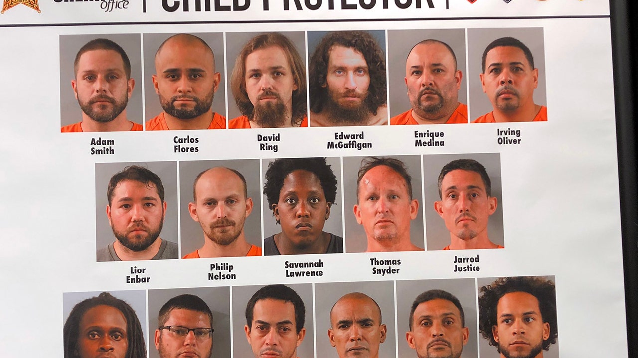 Polk sheriff Disney employees, nurse and California man among 17 arrested in undercover child predator sting