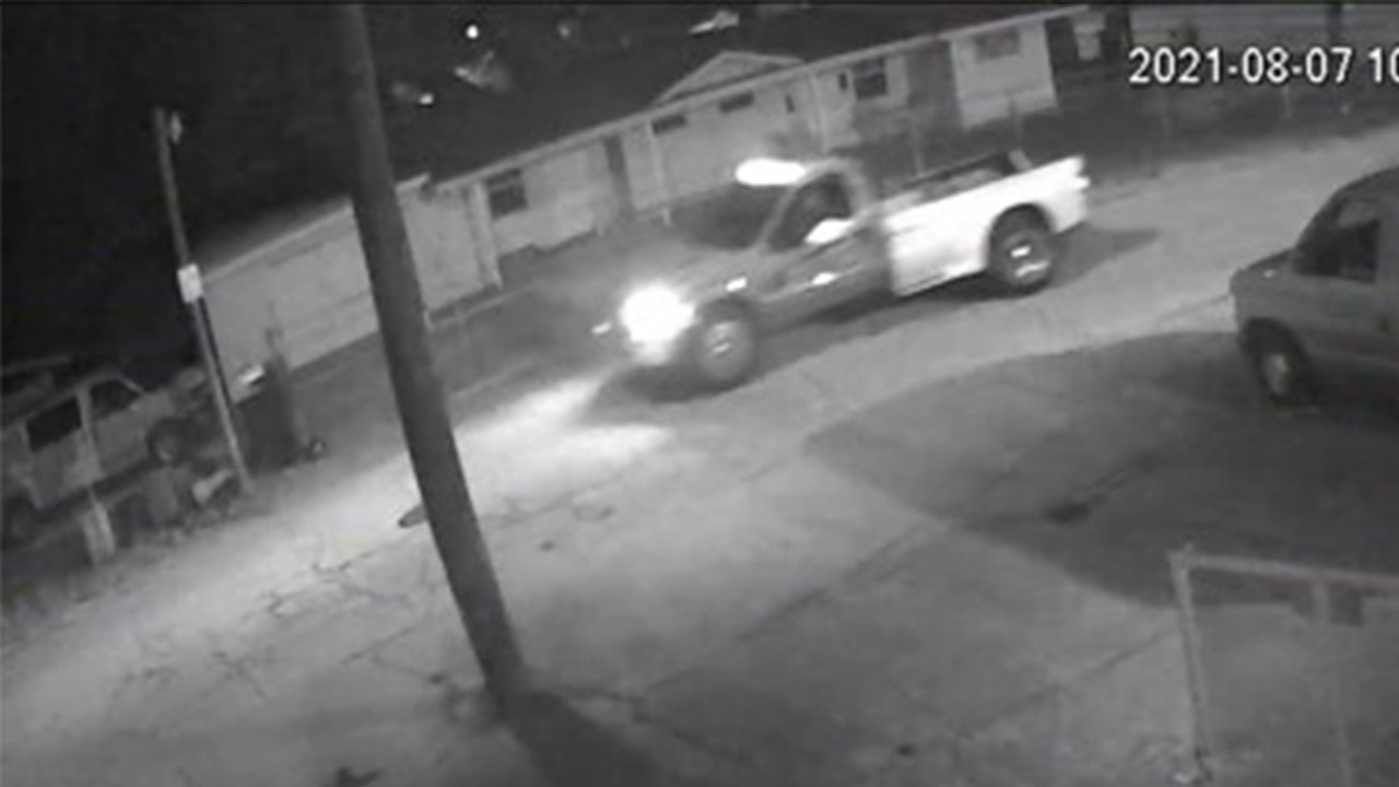 Tampa Police Searching For Pickup Truck Involved In Deadly Hit-and-run ...