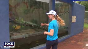 Tarpon Springs Aquarium expands to include even more interactive experiences