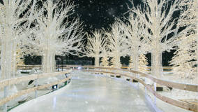 Enchant Christmas returning to St. Petersburg this winter