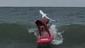 VIDEO: Shark leaps out of ocean behind unsuspecting surfer