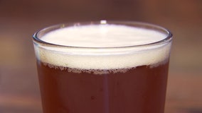 Florida’s craft beer industry among top 5, adding billions of dollars to U.S. economy in 2020