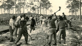 St. Petersburg Museum of History asks for submissions of African American and LGBTQIA+ history