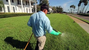 After red tide bloom, more homeowners considering 'green' fertilizers