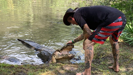 Florida gator wrangler gives take on wild video showing attack at child's birthday party