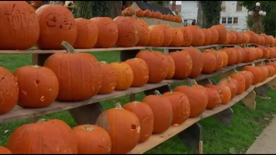 List: Fall events and festivals around Tampa Bay in 2021