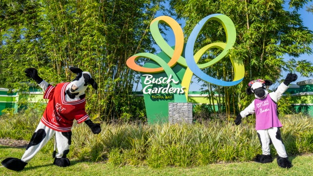 Chick-fil-A location to open at Busch Gardens Tampa Bay this fall