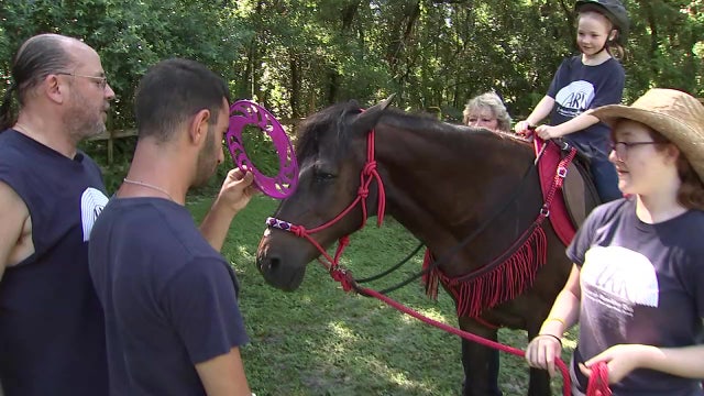 Palm Harbor church uses farm animals to teach children purpose, kindness and joy
