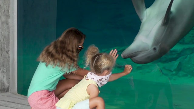 Summer camp at Clearwater Marine Aquarium is hands-on learning experience
