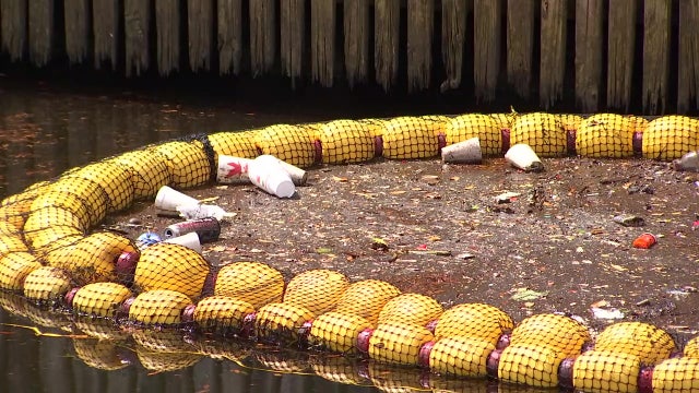 Watergoats help Byrne Ocean Conservation clean St. Pete waterways