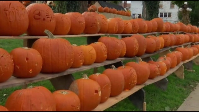 List: Fall events and festivals around Tampa Bay in 2021