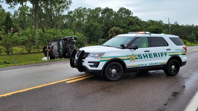 Polk deputies: Teen driver crashes after swerving to avoid hitting bird in road; passenger dies