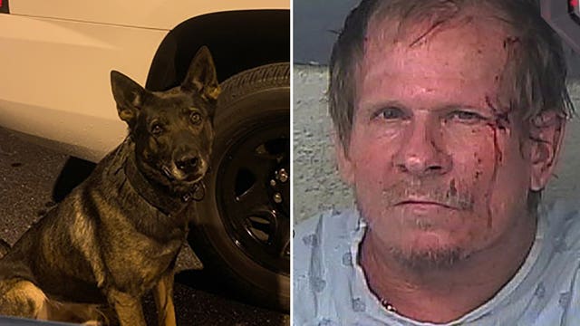Hernando man wanted for car theft tries hiding from K-9 under mattress, gets bit on face